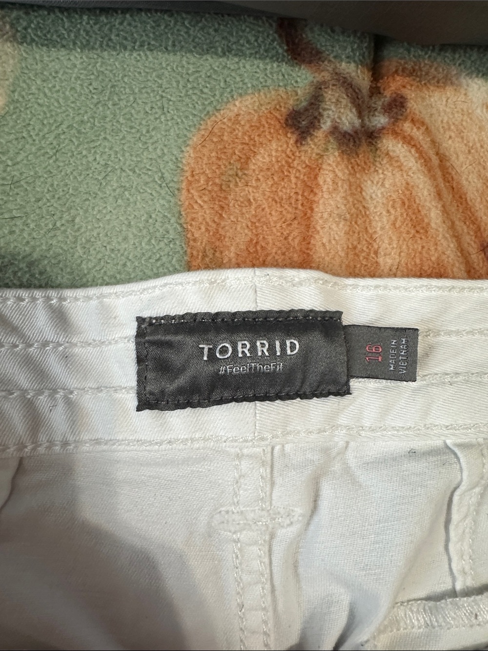 Torrid Shorts - Picture 2 of 3